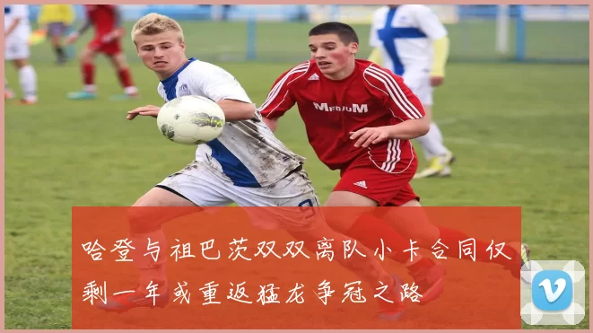 哈登与祖巴茨双双离队小卡合同仅剩一年或重返猛龙争冠之路