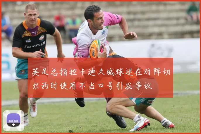 英足总指控卡迪夫城球迷在对阵切尔西时使用不当口号引发争议
